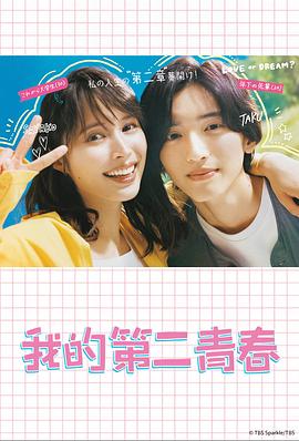 信息化seo优化规划